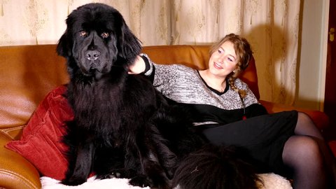 A pretty young woman sitting on the sofa and stroking her female Newfoundland dog.