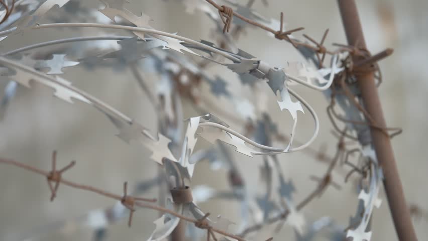 Barbed wire fence at the maximum security prison