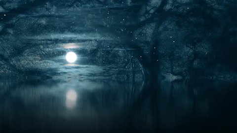fantasy spooky moonlight magical woodland scene - composite effect