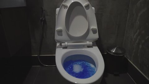 flush the toilet. clean the toilet bowl with blue . shot dolly