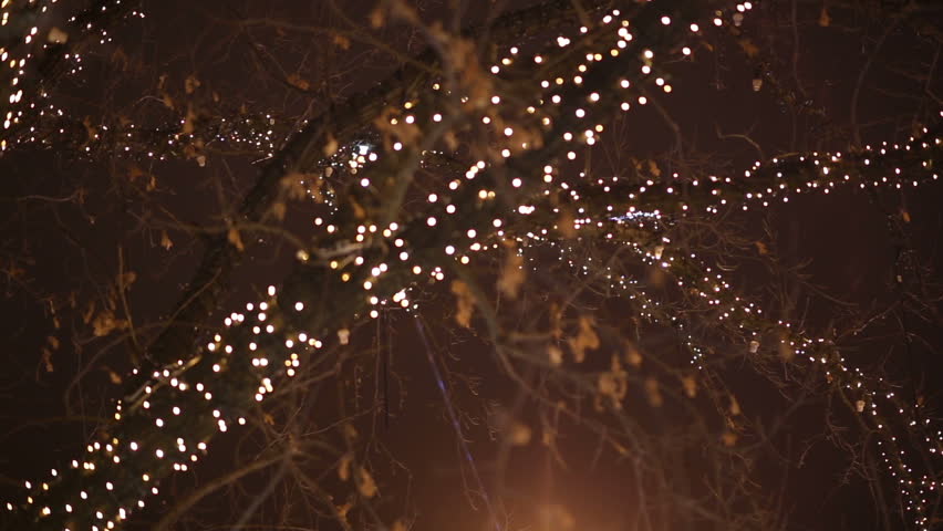 trunk of a tree decorated with electric garland