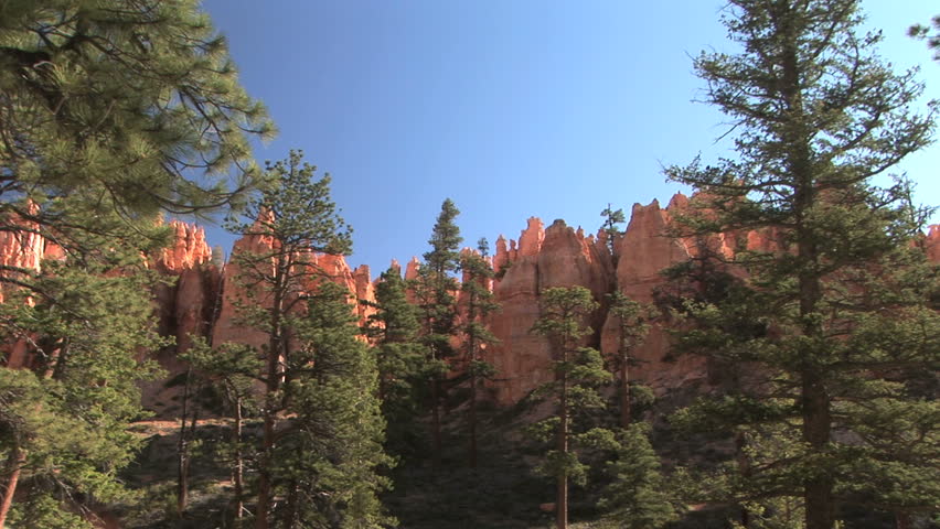 Looking up at the spires at Bryce Canyon National Park, zoom in