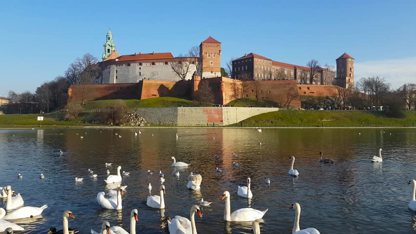 Famous landmark Wawel castle seen from Vistula, Krakow, Poland. Swans at foreground
