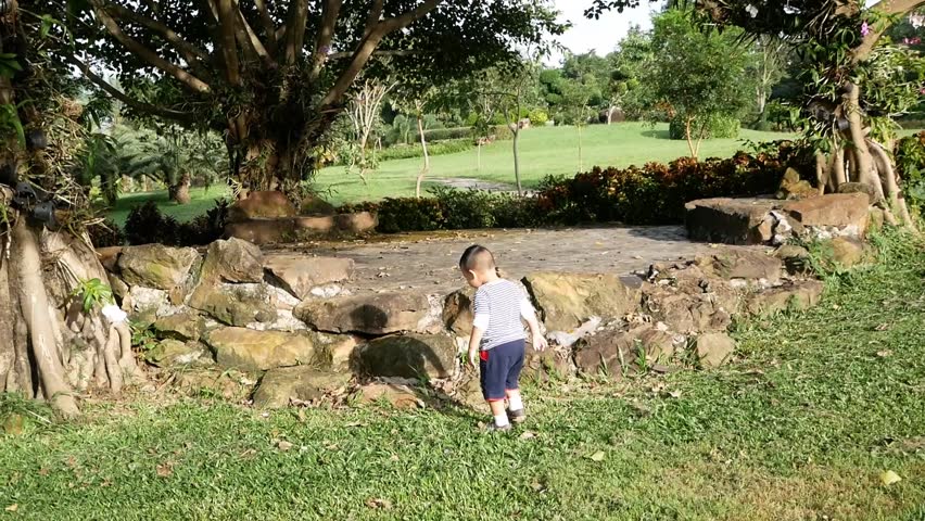 A cute little boy playing in the meadow.