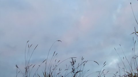 Overcast on the grass Sunset timelapse.
