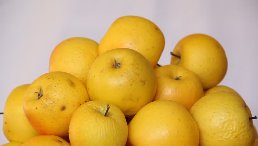 Сорта желтых яблок фото с названием