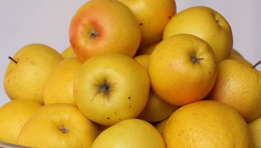 Яблоки желтые сорта фото и названия