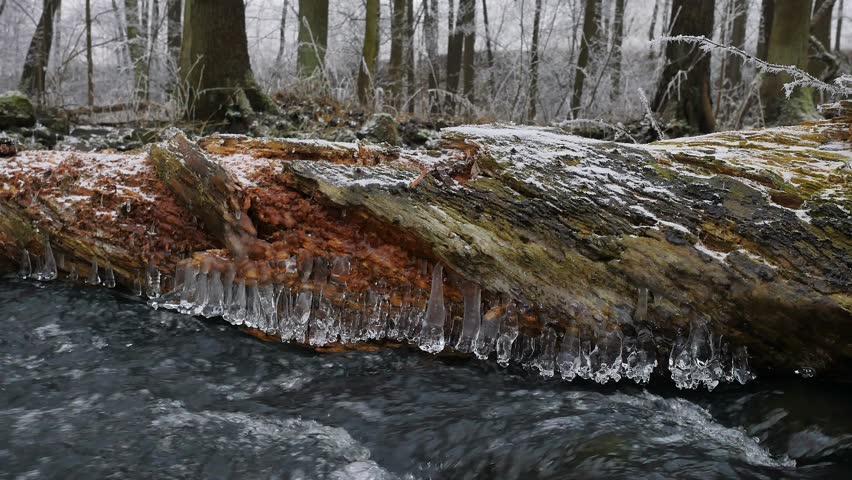 Long icicles hang above dark cold water of mountain river. Icicles glitter above milky water of stream. Branches of fallen trunks are covered by small flakes of powder snow. 4k, 3840 X 2160  