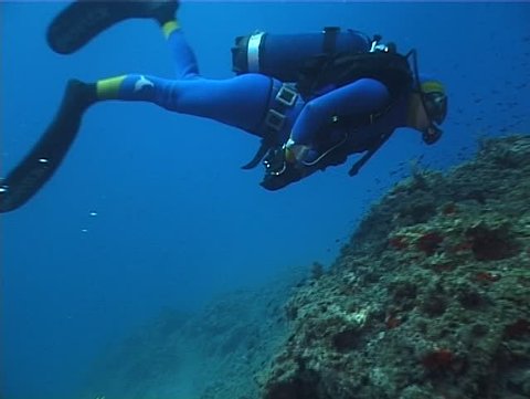 Underwater scene: Diver. Shot captured in the wild in the Mediterranean Sea (Italy) by 3CCD camcorder. 