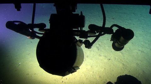 Deep Sea life, view from a researcher submarine in 300 m depth - Pacific Ocean, Cocos Island, Costa Rica.