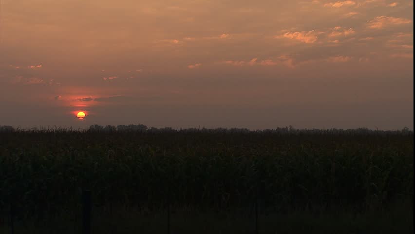 Sunrise over Iowa corn