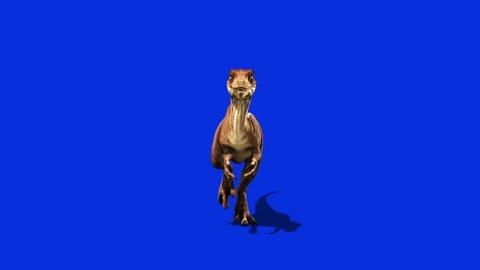 Dinosaurs Velociraptor Run Front Jurassic World Prehistory Blue Screen