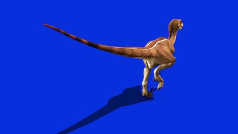 Dinosaurs Velociraptor Run Back Jurassic World Prehistory Blue Screen