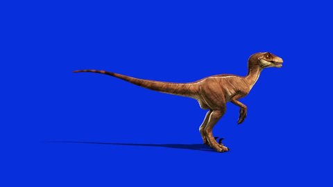 Dinosaurs Velociraptor Roar Side Jurassic World Prehistory Blue Screen