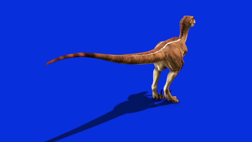 dinosaur with fin on back jurassic park 3
