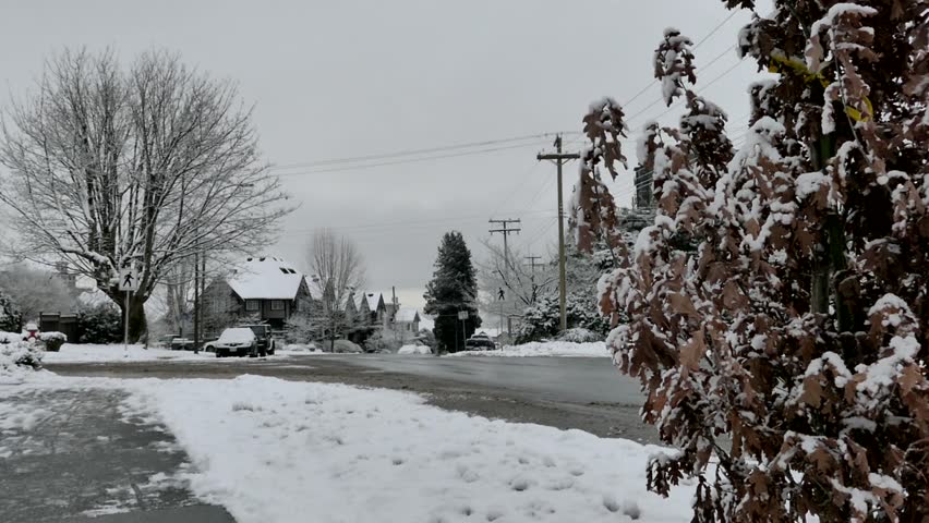 Winter Village -  Snowy Street Houses, Trees, Road, Car