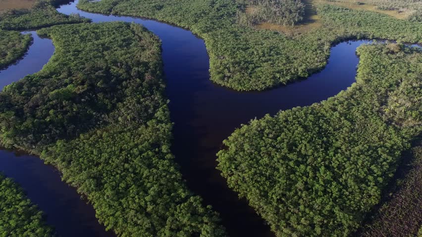 Aerial View of Amazon Rainforest, Brazil Royalty-Free Stock Footage #22818241