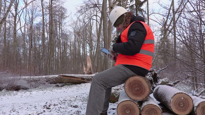 Lumberjack using tablet near broken tree in forest