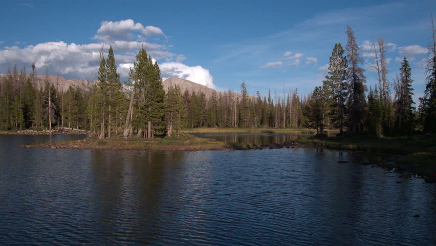 Panning view past pine trees on lake in Uinta Mouintains.