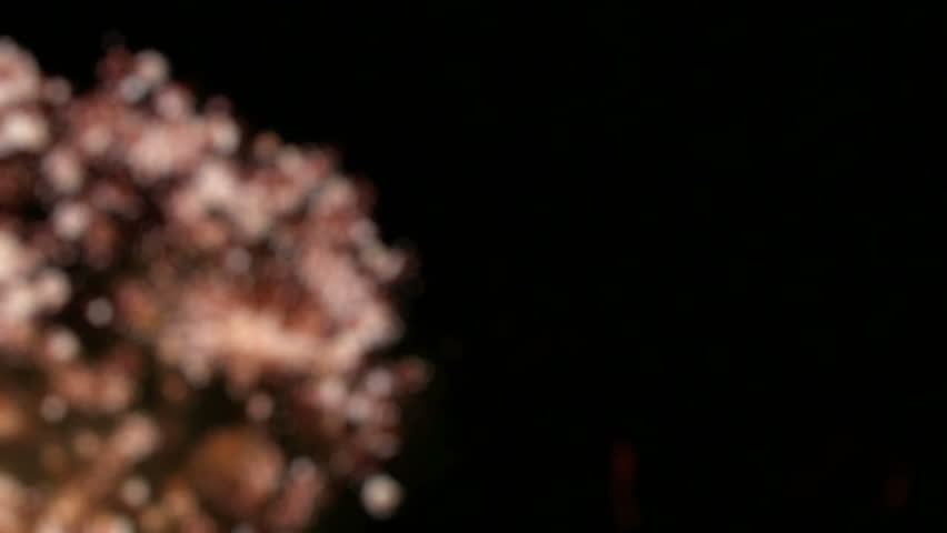 Fireworks display, blurry background 1