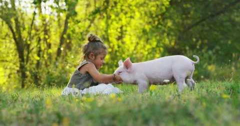 girl caresses and kisses a pig in green world. sustainability and a love of nature, respect for the world and love for animals. Concept: animal rights, vegan, bio, love for animals, vegetarian