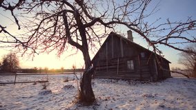 Old Wooden house in Winter Village, Shot with Dolly Slider. Frozen apple tree without leaves.
