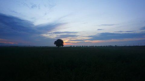 Time lapse of stunning sunset over the paddy field.