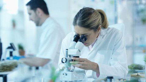 4K Scientific researchers in laboratory, woman analyzing sample under microscope Dec 2016-UK