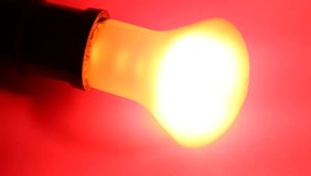 Close up of electric bulb 