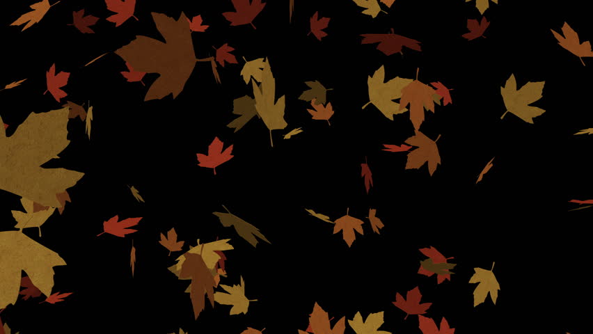 Autumn Leaves falling down in slow motion over black background seamless loop, alpha channel Fall leaves background, full hd and 4k. | Shutterstock HD Video #22876987