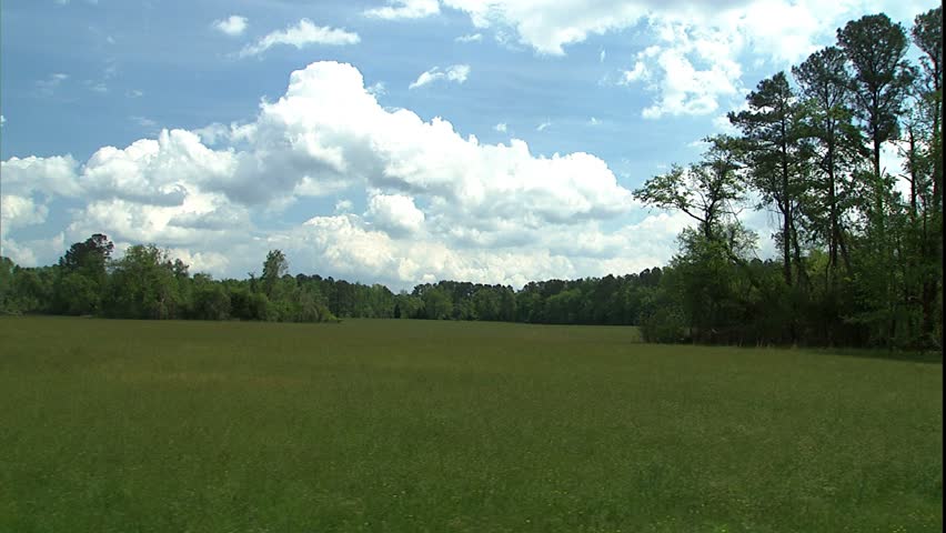 Yorktown Battlefield dolly and nearby forest, Virginia