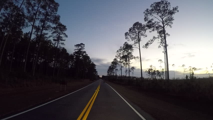 Drive through rural area near Okefenokee National Wildlife Refuge at dusk with deer crossing road.