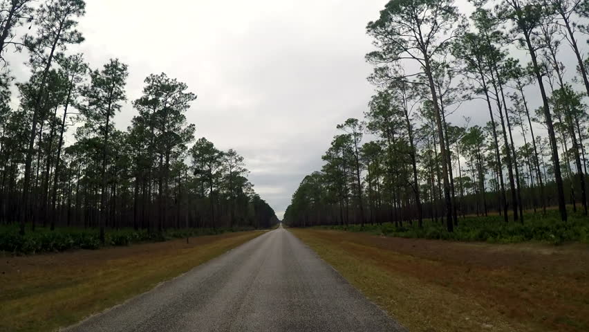 Drive through rural area near Okefenokee National Wildlife Refuge.