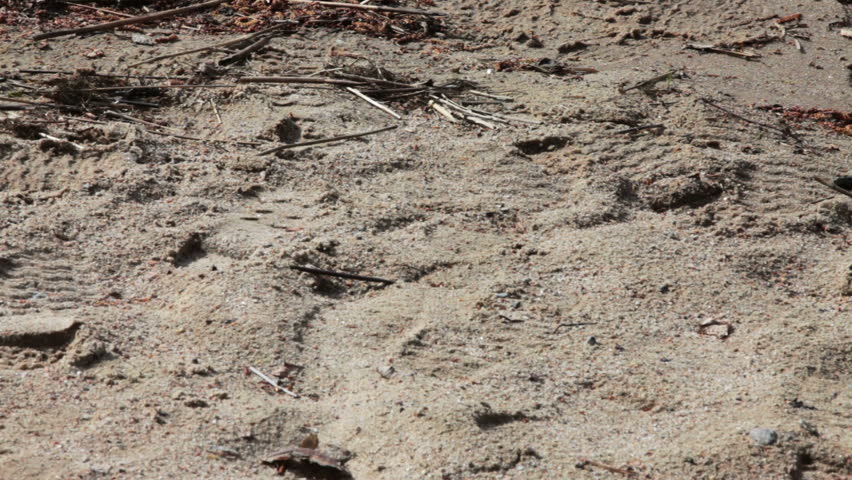 Waves On The Beach, closeup, movement camera