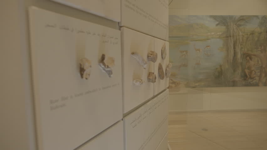 Manama, Bahrain - circa 2013 - Circular tracking shot of stone age flint and bone tools and arrowheads in a display case at the Bahrain National Museum. Shot raw Arri Alexa.