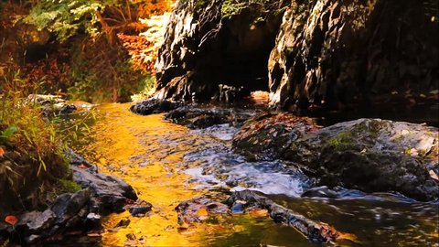 Water takes on a beautiful golden hue in Autumn as it flows downstream in the gorge