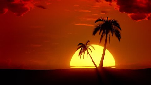 Time-lapse tropical sunrise with palm trees and clouds. VFX composite.