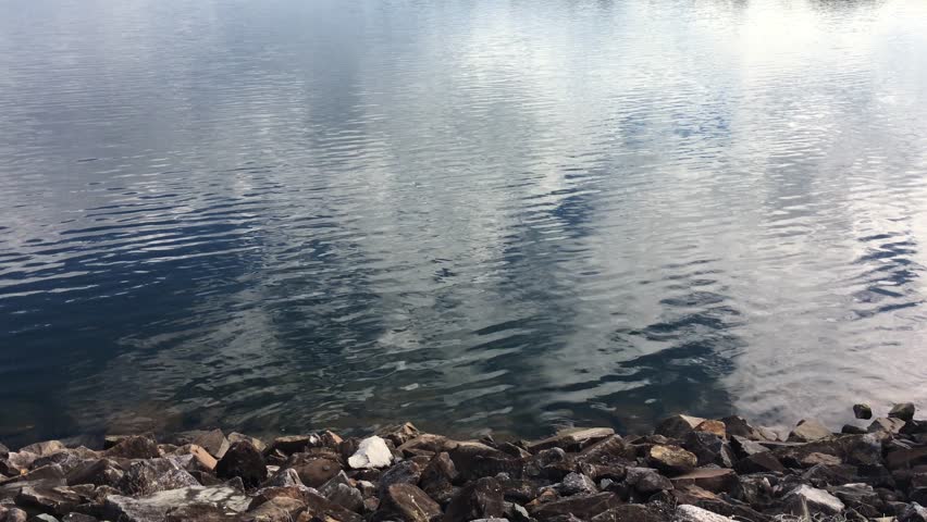 rippled watersurface in river.