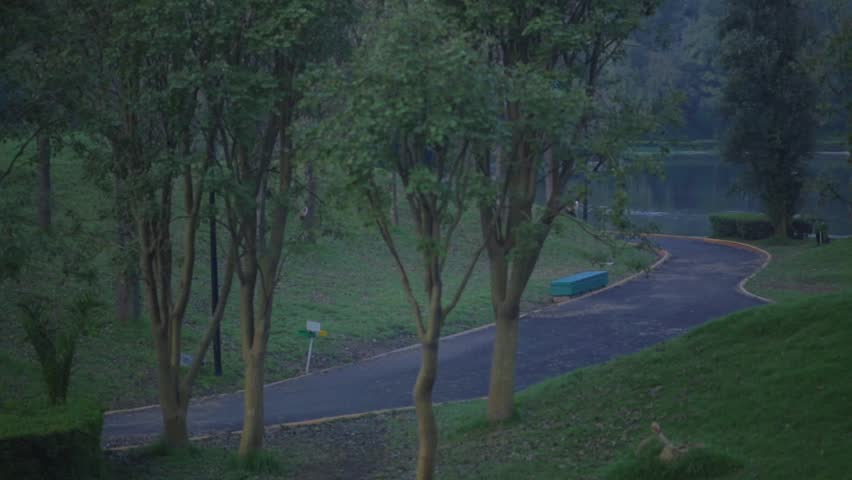 Man running in the night in the park