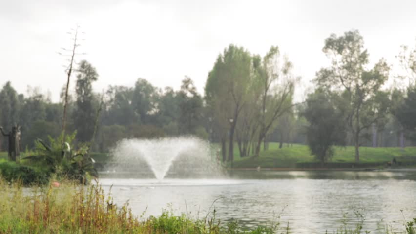 Man watching the lake landscape
