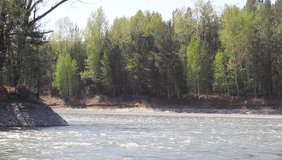 river in forest, Altai, Russia