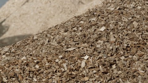 Pile of wood chips to storage for export