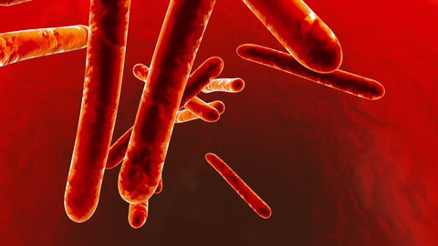 3D rendered animation of Tuberculosis bacterias infecting a body.
