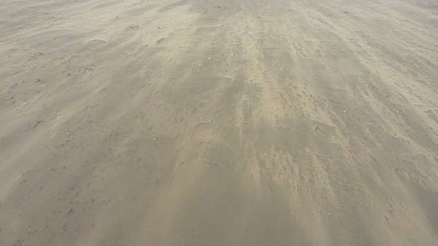 High winds blowing sand at beach.