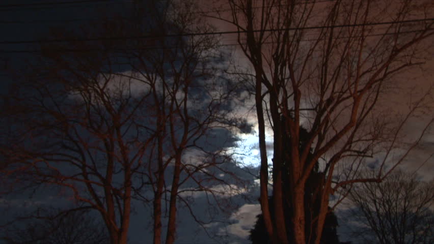 Moon and tree at night with clouds passing fast.