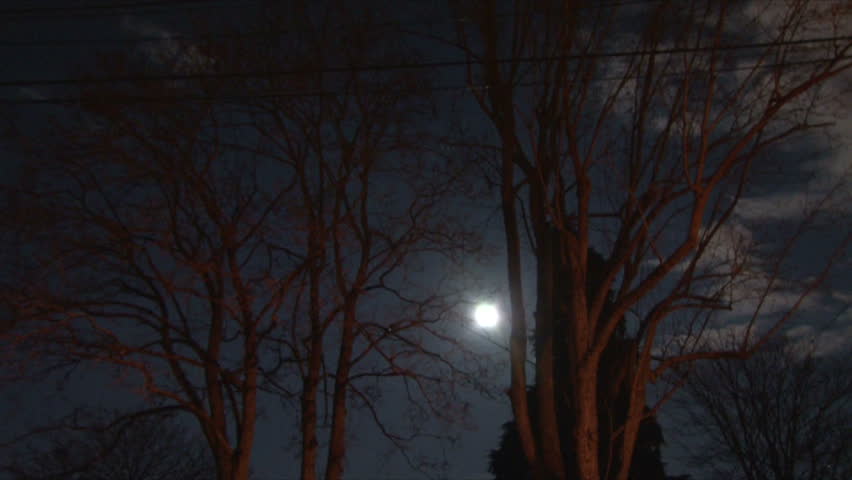 Moon and tree at night with clouds passing fast., a Nature Video by Dan_Jesperson