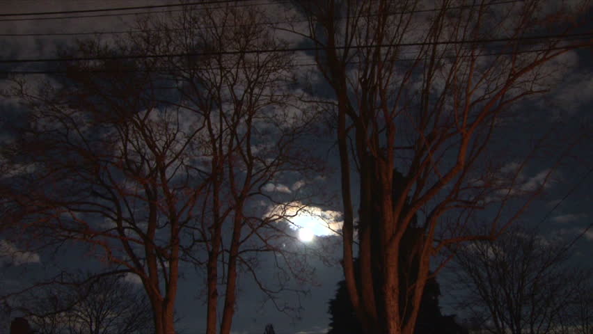 Full moon and trees with clouds passing by, time lapse.