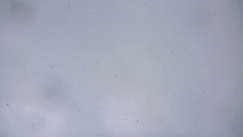 Snow falling looking up at sky with snowflakes hitting camera lens in winter.