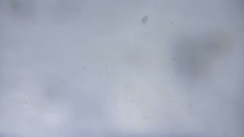 Snow falling looking up at sky with snowflakes hitting camera lens in winter.