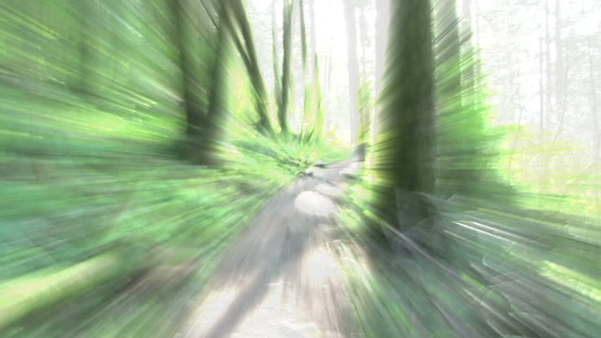 Abstract background imagery in forest.
